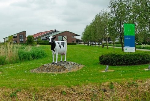 Zonnebloem afdelingsnieuws