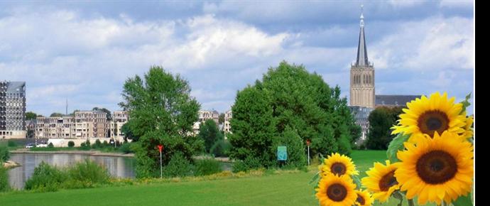 Zonnebloem afdelingswebsite