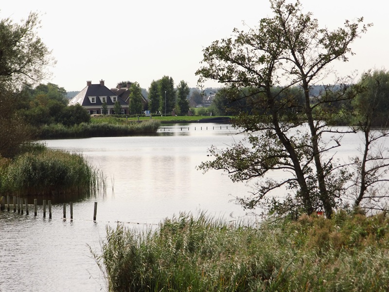 Zonnebloem afdelingsnieuws