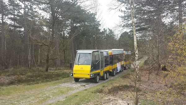 Zonnebloem afdeling