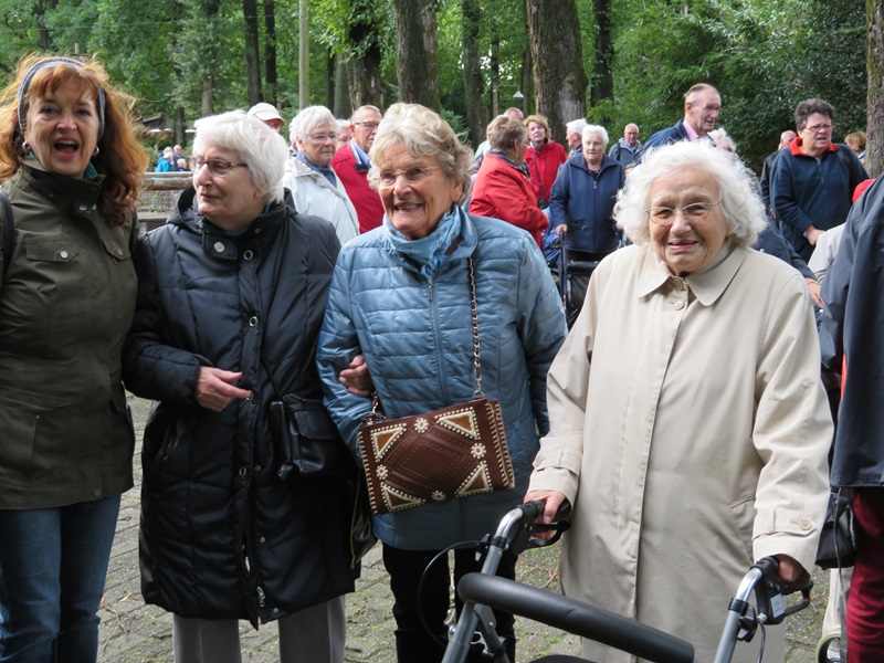 Zonnebloem afdeling