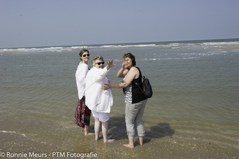 Zonnebloem afdeling