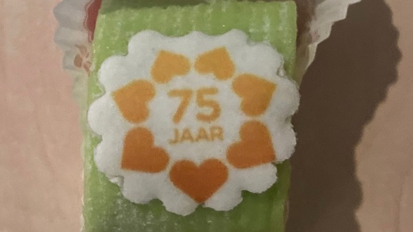 jubileum-zonnebloem-13jpg