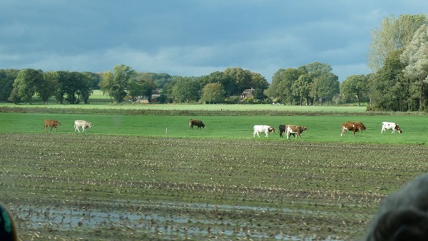 landschapjpg