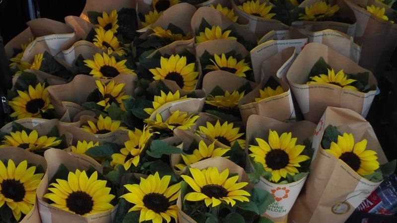 auto-met-zonnebloemenjpg