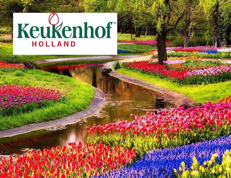 Keukenhof sliedrecht ervaringen